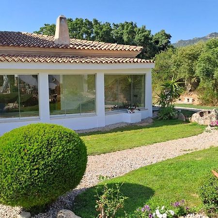 B&B La Chintina Sant'Antonio di Gallura Exterior photo